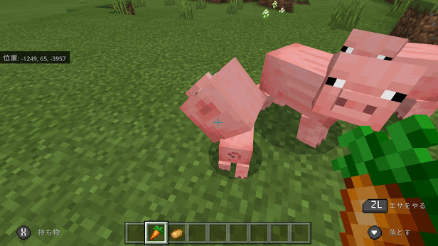 マイクラで豚の乗り方を解説 他にも豚の全てを解説します マイクラゼボブログ